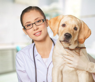 Com que frequência levar o seu pet ao veterinário?